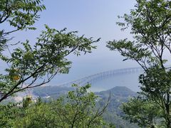 -星海湾跨海大桥