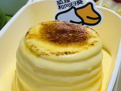-狐狸和向日葵(北京路店)