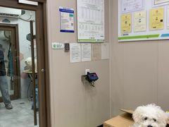 -瑞鹏宠物医院(大运分院)