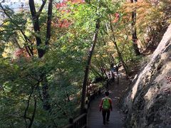 -天女山森林公园
