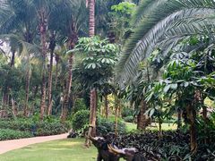 -三亚湾海居铂尔曼度假酒店