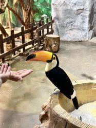 -Zoolung Zoolung动物主题公园(海信广场店)