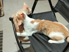 -初甜·舒芙蕾·韩式雪花冰(流塘店)