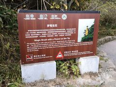 -黄山北海宾馆