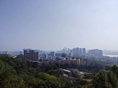 -福道