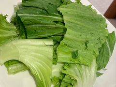 水东芥菜-粤来记·啫啫煲·点心(日月光店)