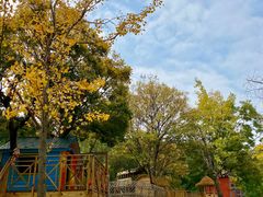 -祥源·阜阳生态乐园