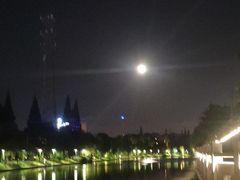 -陈家山荷花公园