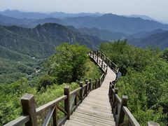 -大岭沟猕猴桃谷风景区