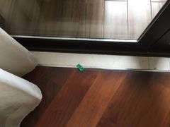 -上海崇明金茂凯悦酒店