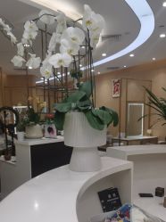 -Alger.O美感沙龙