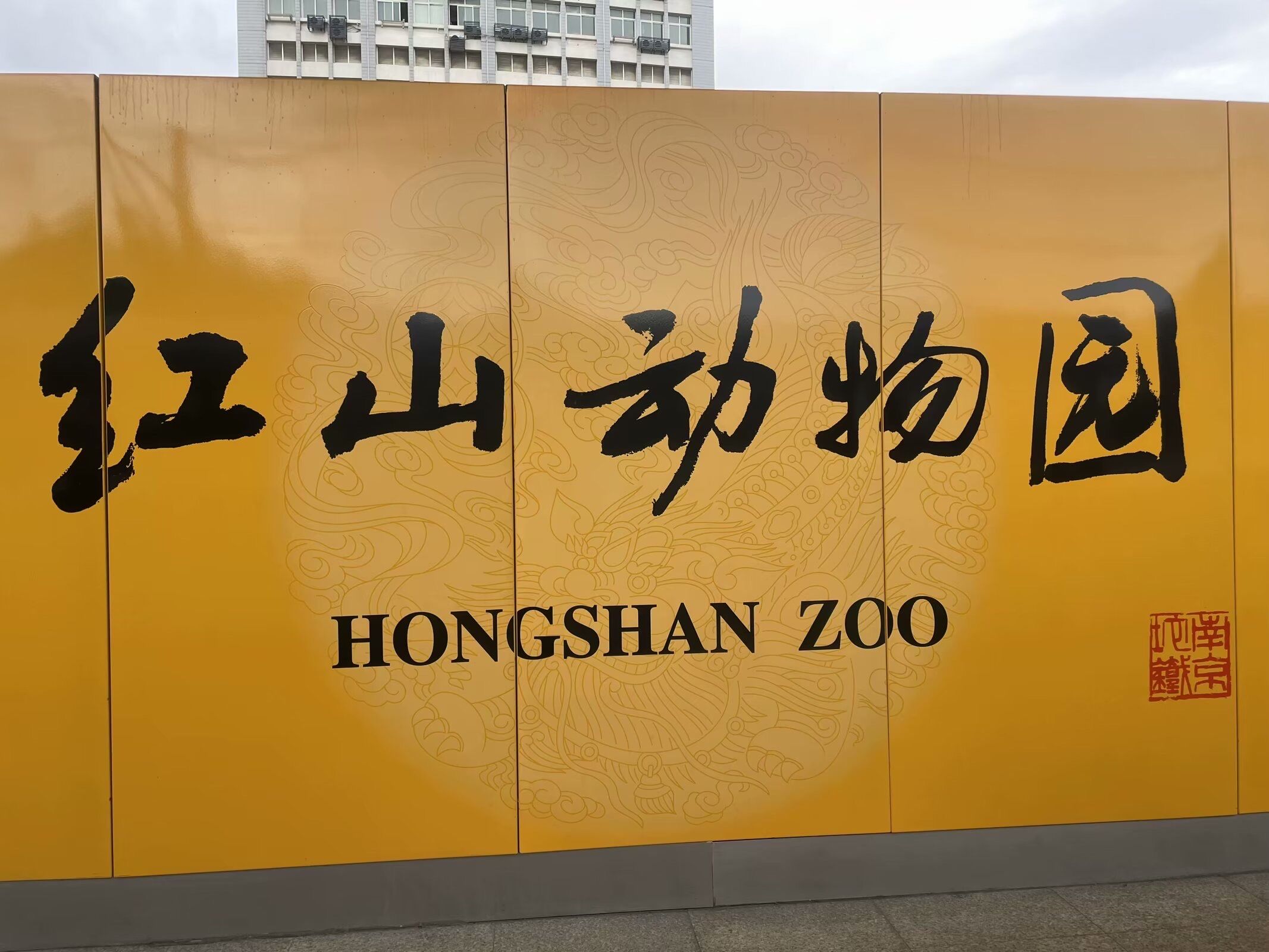 带娃红山动物园游游