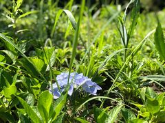 -梁鸿国家湿地公园