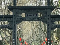 -杭州黄龙洞