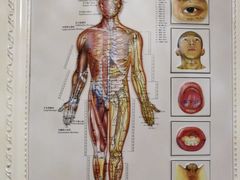 -坤济堂盲人推拿按摩