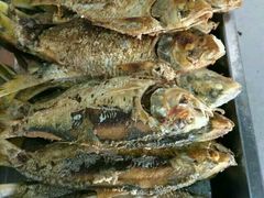 -八仔大富楼·河鲜(西江店)