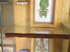 16.4-上海大自然野生昆虫馆