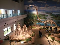 -自贡恐龙博物馆