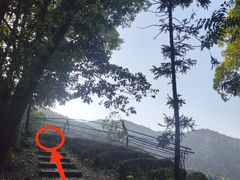 -龙坞茶村