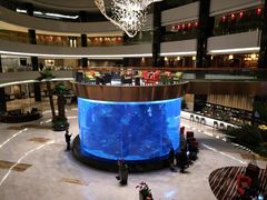 -OPEN開全日自助餐厅·牛肉火锅·海鲜(佛山希尔顿酒店)