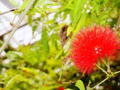 -晶宝温泉农庄