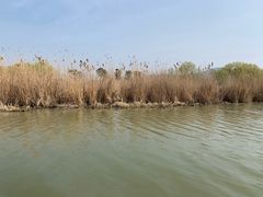 -长兴太湖图影湿地文化园