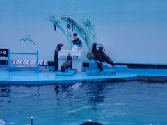 -秦皇岛新澳海底世界