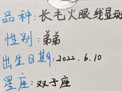-Pets First伊珊娜洗护·精致美容·家庭式寄养(新会路店)
