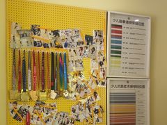 -勇气斑马·巴西柔术&跆拳道(浦东三林店)