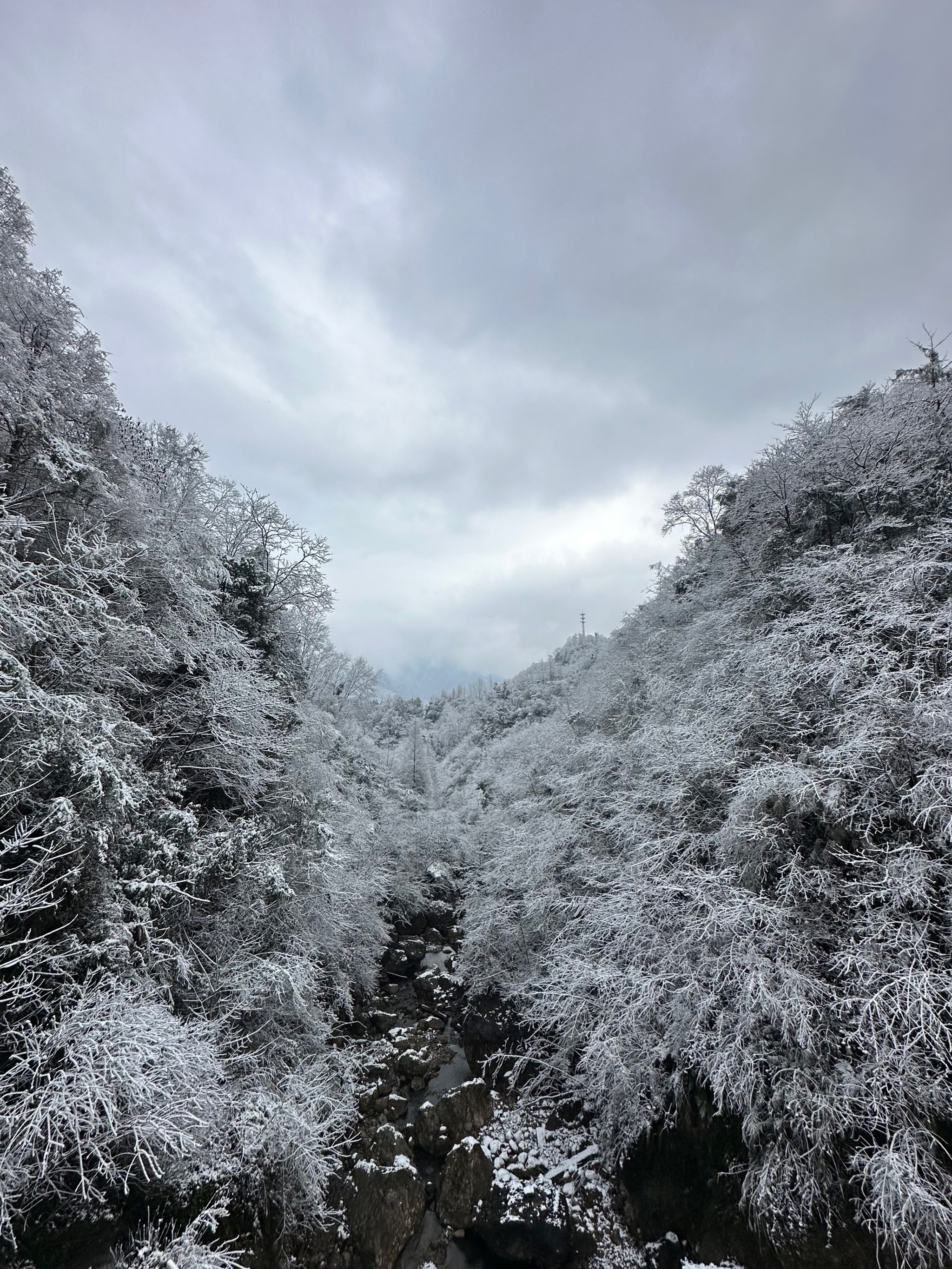 山上的雪景图片图片