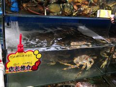 -蚝专家(北滘店)