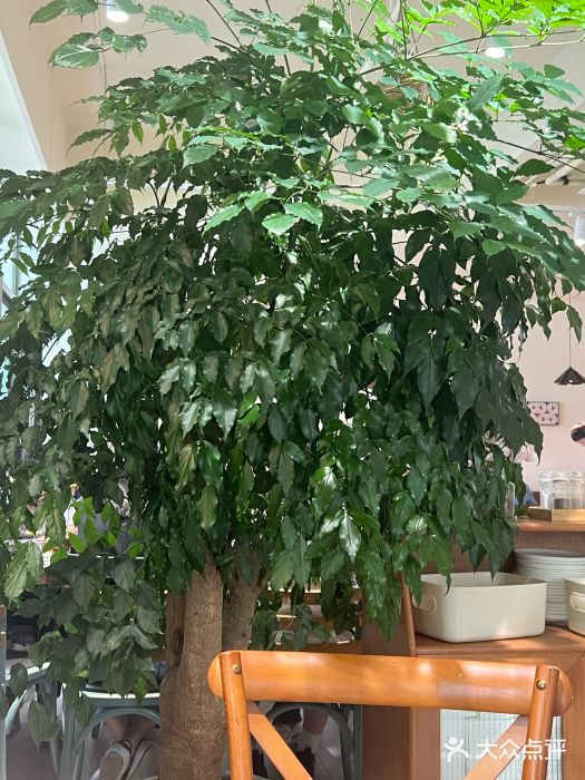 榖屋house of flour(张江首店)图片