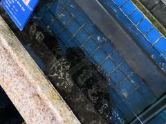 -客家汇·客家传承菜(水库店)