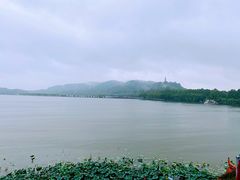 -湖畔居茶楼(湖滨店)