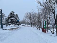 -东郊湿地公园