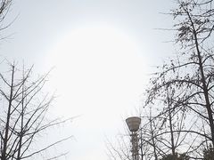 -大兴滨河森林公园