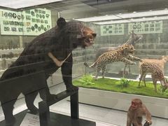 -北京中医药大学-中医药博物馆
