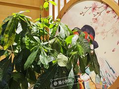 -巴拉吉·SPA·按摩养生馆
