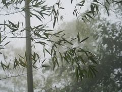 -崀山风景名胜区