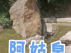 -盛世牡丹苑生态文化旅游区