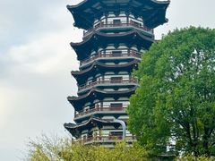 -洋湖国家湿地公园