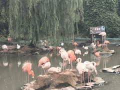 -宁波野生动物园