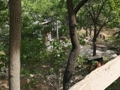 -大岭沟猕猴桃谷风景区
