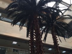 -北京中医药大学东直门医院(通州院区)