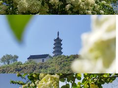 -苏州上方山国家森林公园