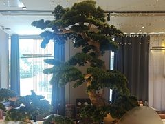 -漫圆·品质家宴(榔梨店)