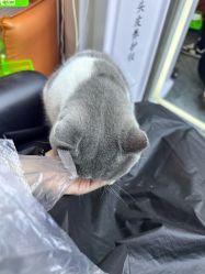 -和木形象