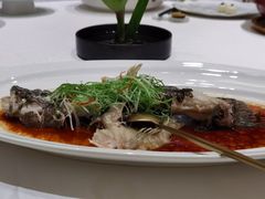 -金色艳阳天•粤菜 淮扬菜(古平岗店)