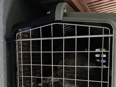 -心仪动物医院·牙专科·肿瘤·心脏科(西客站院)