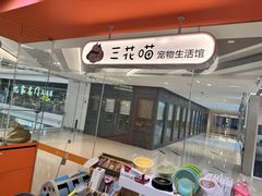 -三花喵·撸猫购宠·宠物生活馆(虹桥南丰城店)